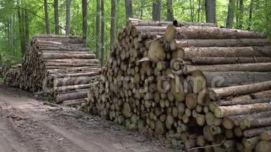 区非法<strong>砍伐</strong>森林植被.. 从森林里剪下树木和木树干。 一堆木头在附近